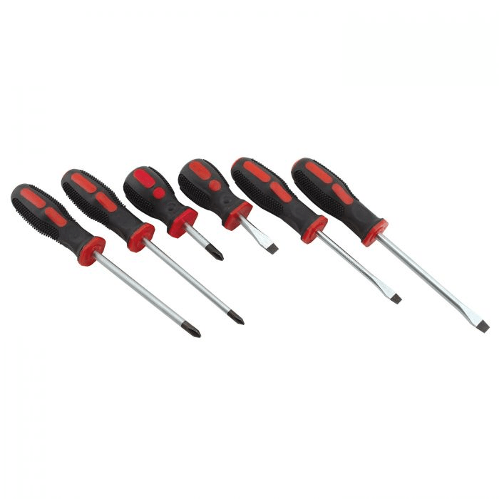 SCREWDRIVER SET 6PC G.N