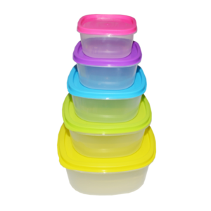 PLASTIC STORAGE CONTAINER W/LID 5PK SET ASST