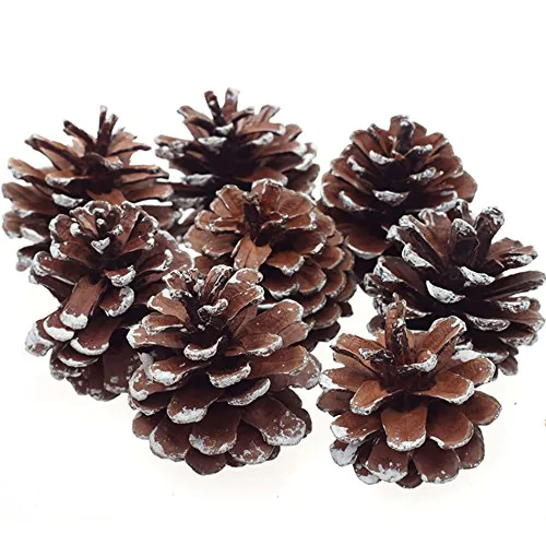 DECORATION PINE CONES W/SNOW 12PC