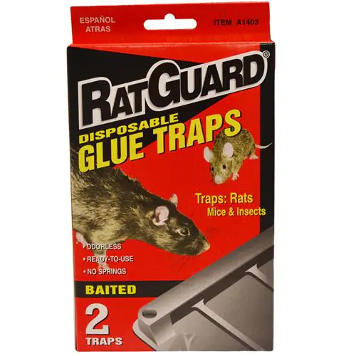 RAT & MOUSE GLUE TRAPS 2PK