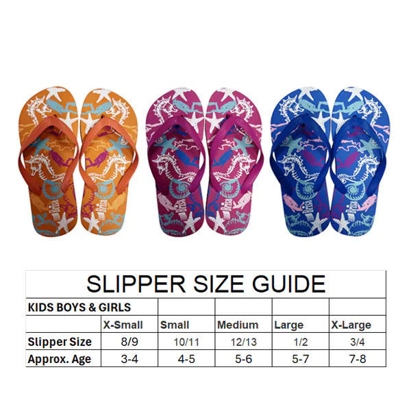 FLIP FLOPS GIRLS 3 ASSORTED 10/11,12/13,1/2,3/4